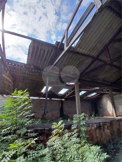 Foto REO1105237