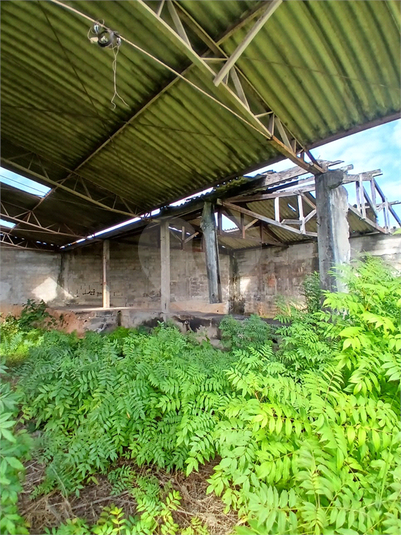 Foto REO1105237