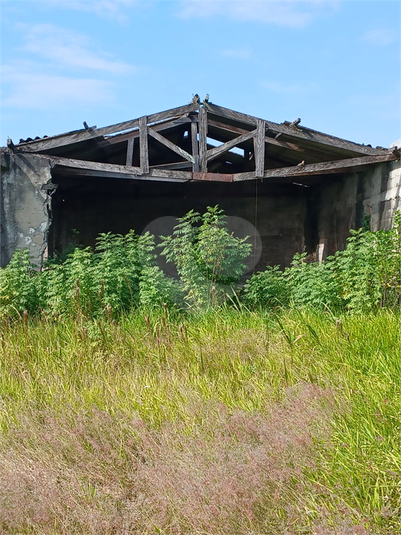 Foto REO1105237