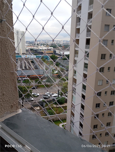 Foto REO1105247