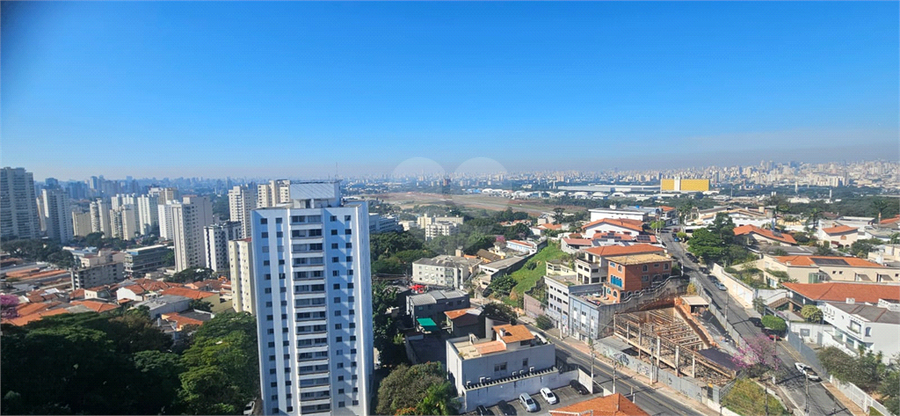 Foto REO1105249