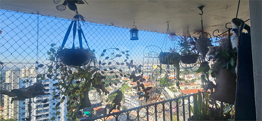 Foto REO1105249