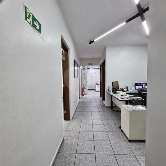 Foto REO1105265