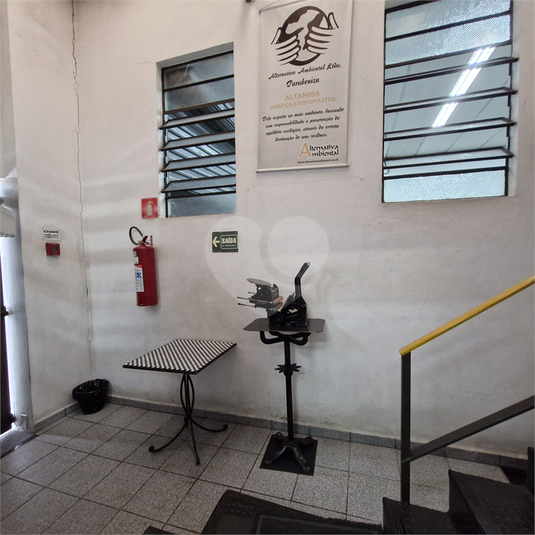 Foto REO1105265