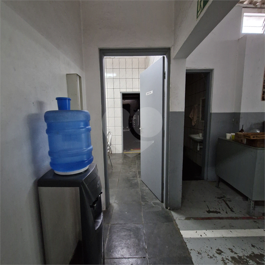 Foto REO1105265