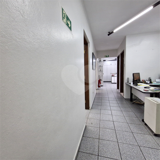 Foto REO1105265