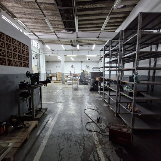 Foto REO1105265