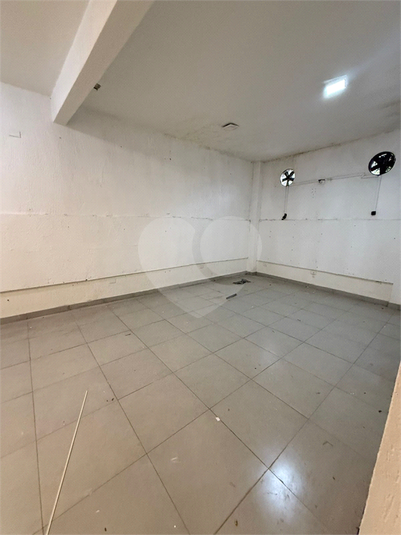 Foto REO1105267