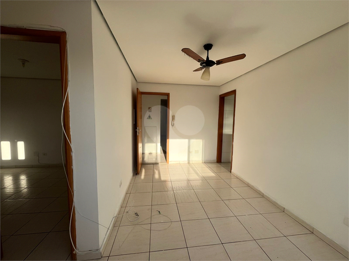 Foto REO1105275