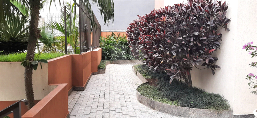 Foto REO1105278