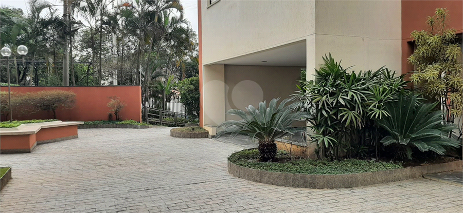 Foto REO1105278