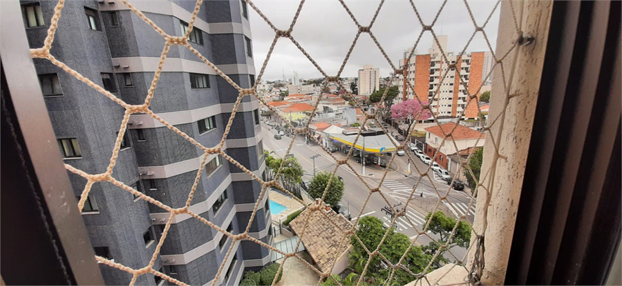 Foto REO1105278