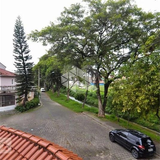 Foto REO1105284