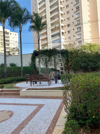 Foto REO1105301