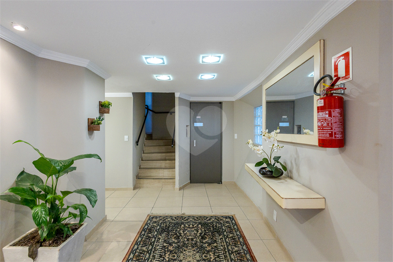Foto REO1105325