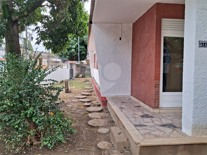 Foto REO1105336