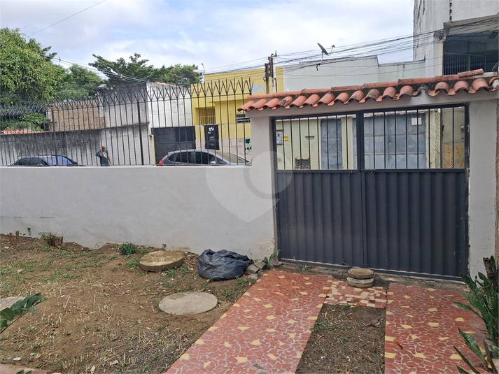 Foto REO1105336