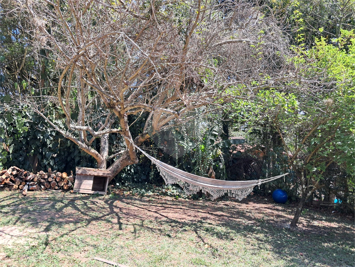 Foto REO1105345