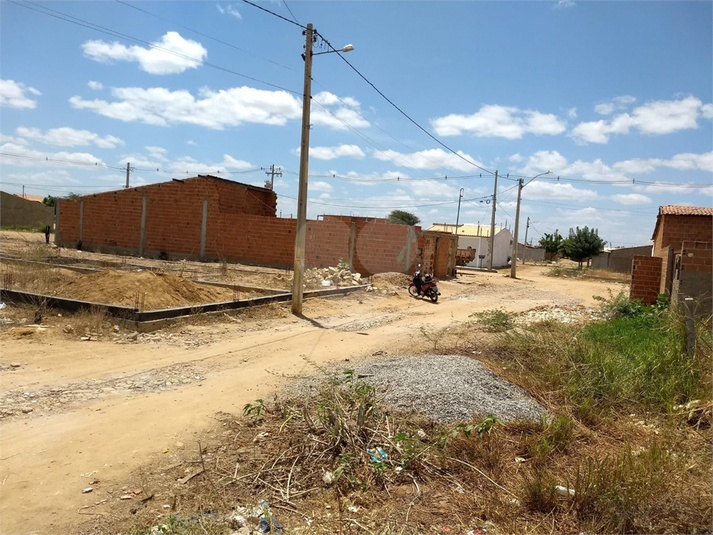 Foto REO1105355