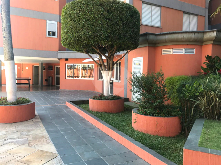 Foto REO1105358