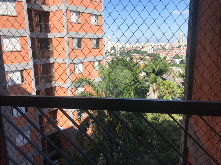 Foto REO1105358