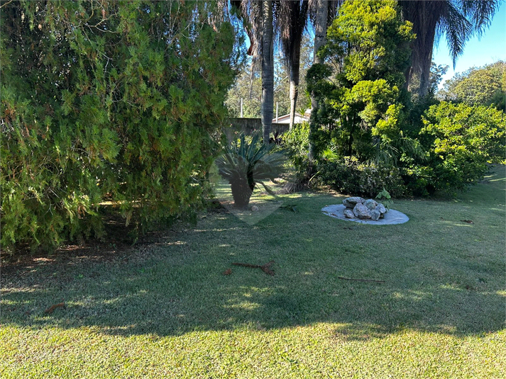 Foto REO1105359