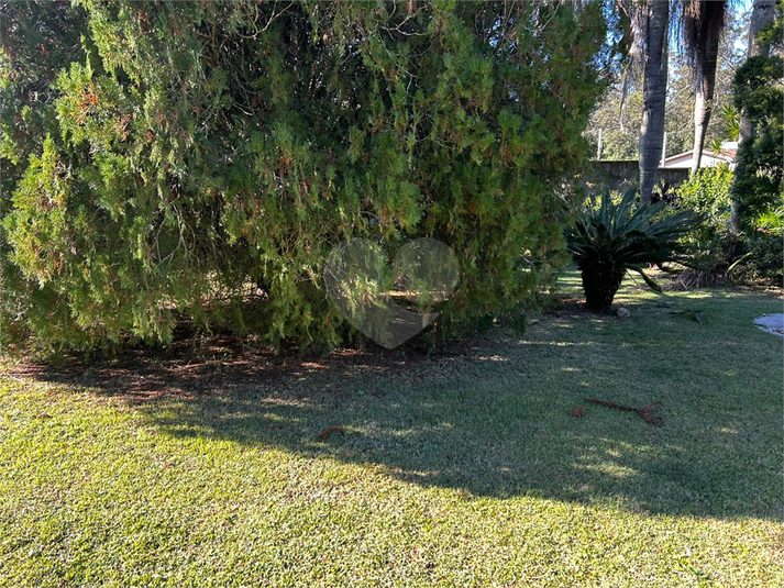 Foto REO1105359