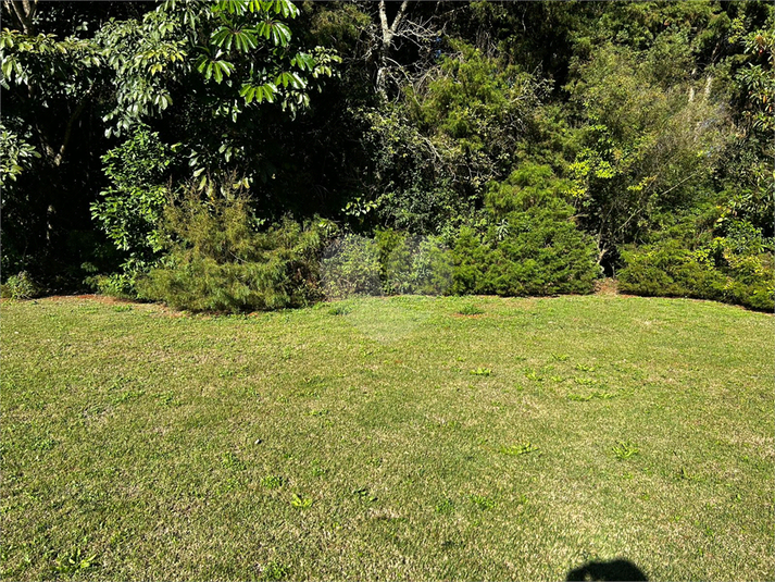 Foto REO1105359