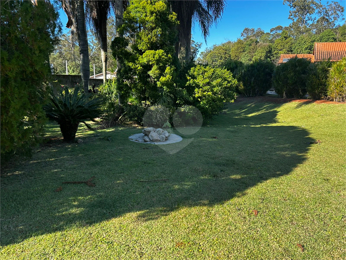 Foto REO1105359
