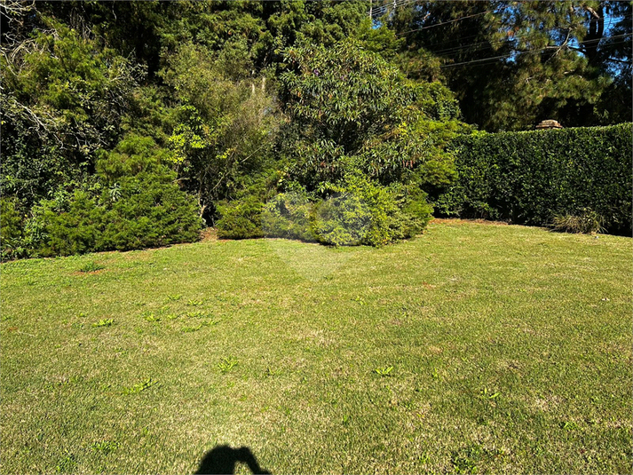 Foto REO1105359
