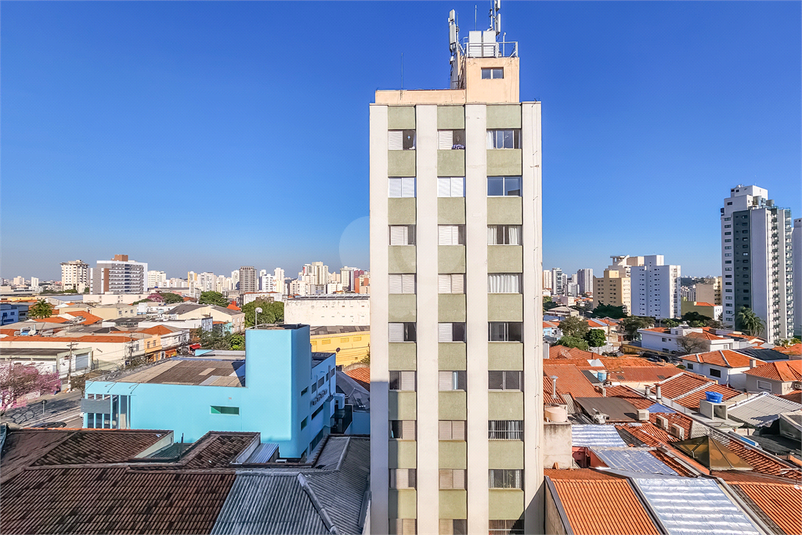Foto REO1105368