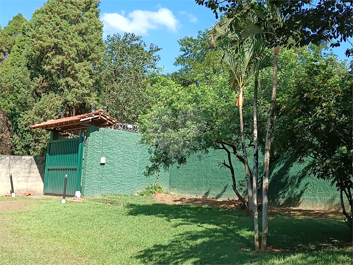 Foto REO1105379