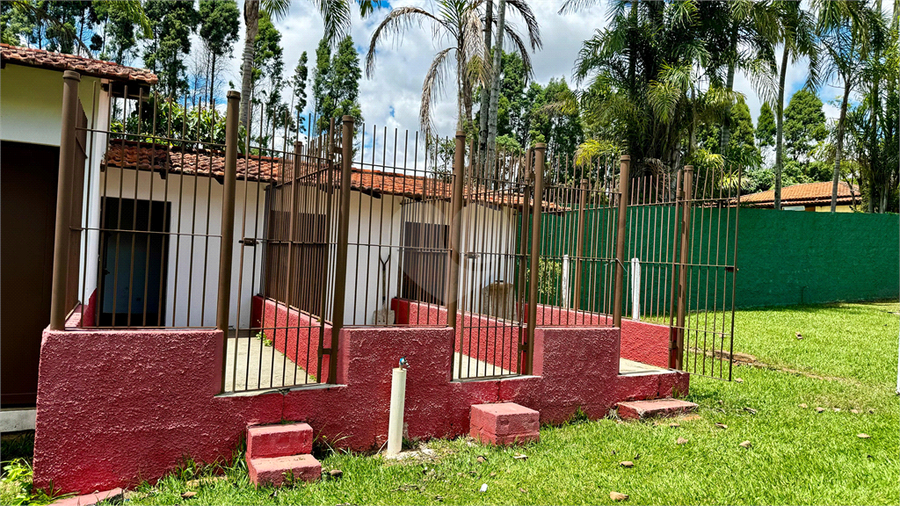 Foto REO1105379