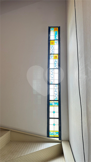 Foto REO1105379