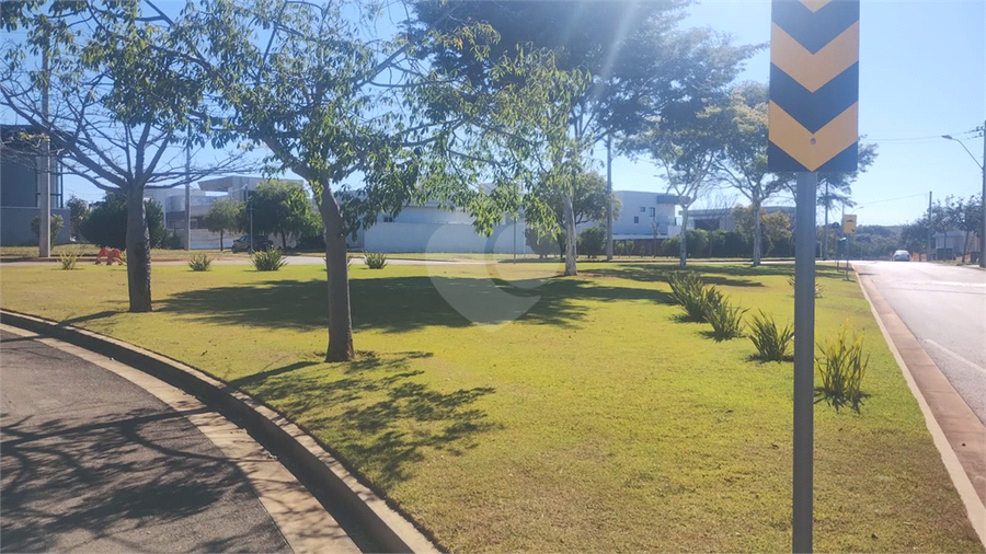 Foto REO1105383