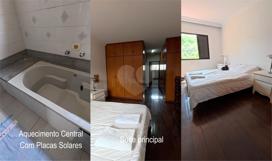 Foto REO1105386