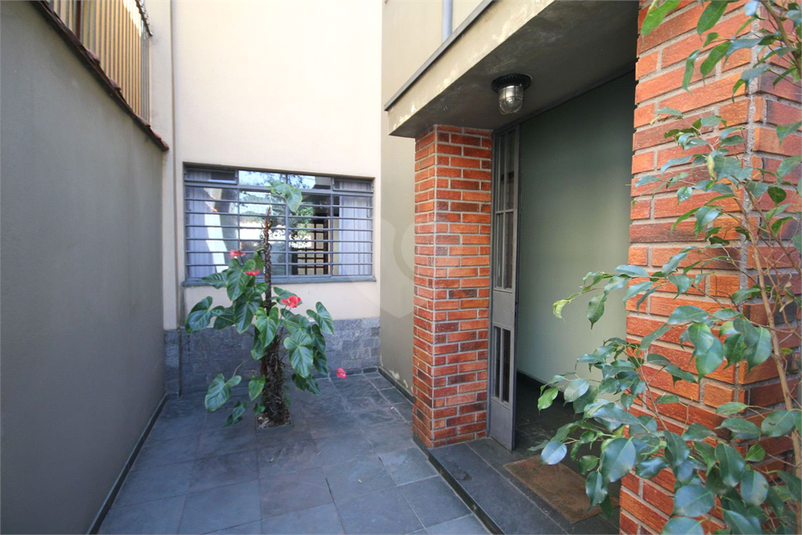 Foto REO1105386