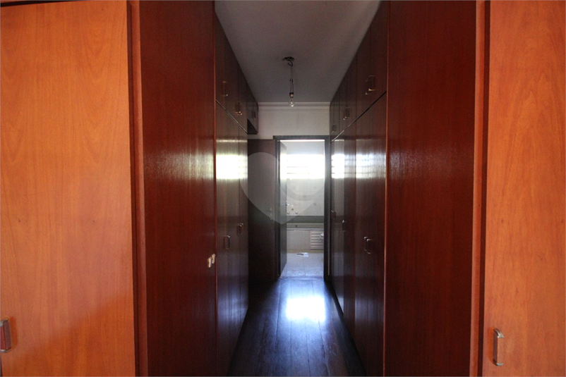 Foto REO1105386