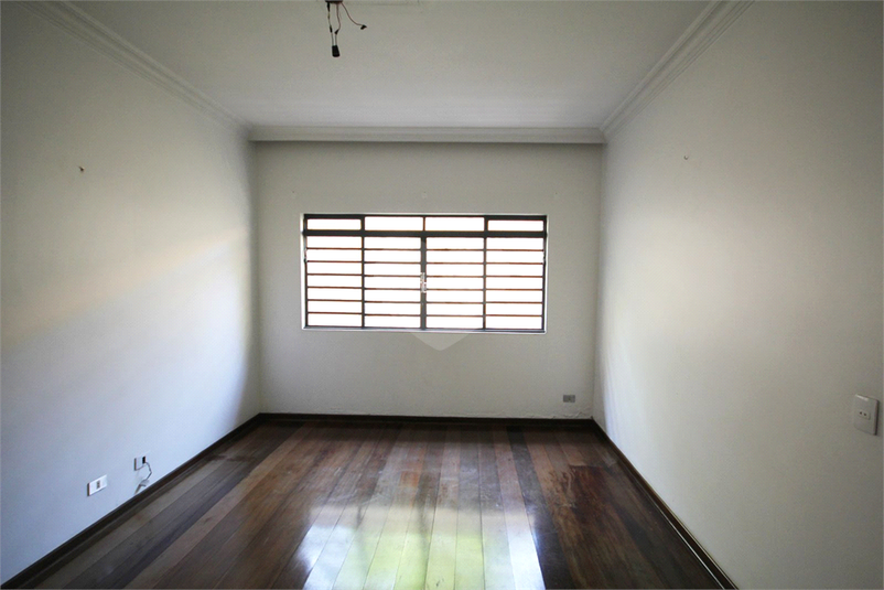 Foto REO1105386