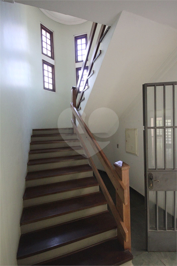 Foto REO1105386