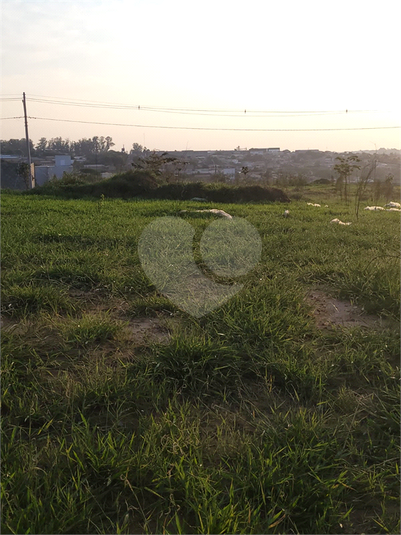 Foto REO1105389