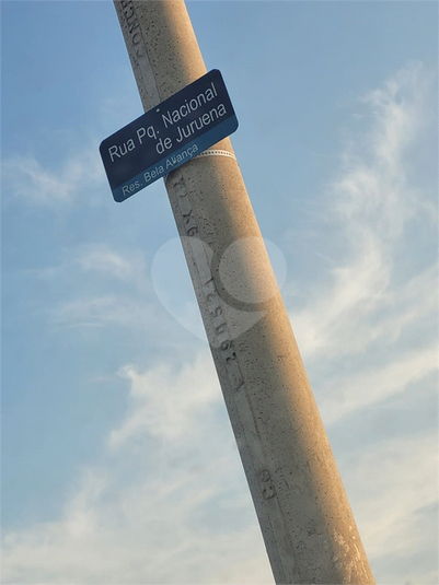 Foto REO1105389