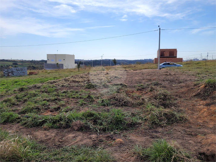 Foto REO1105389