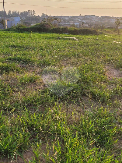 Foto REO1105389