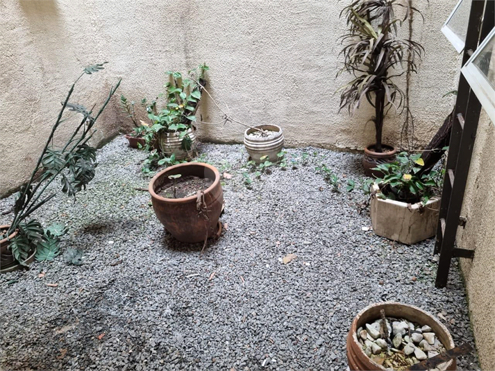 Foto REO1105391