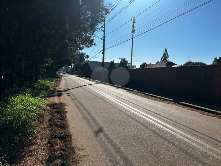 Foto REO1105397