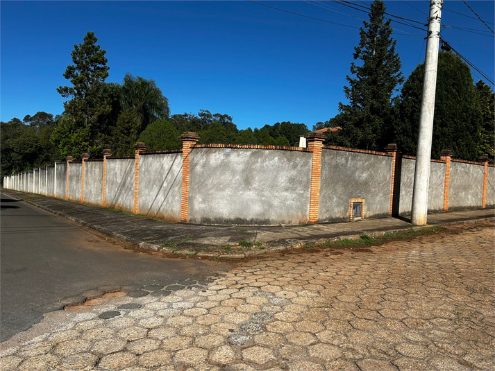 Foto REO1105404