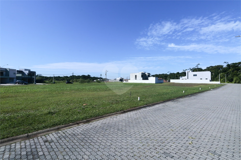 Foto REO1105406