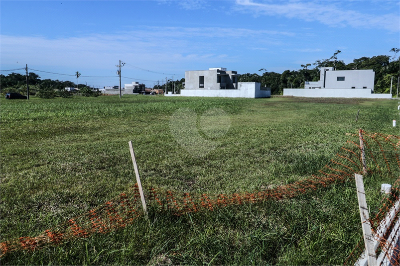 Foto REO1105406