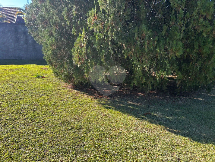 Foto REO1105410